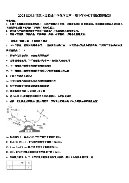 2025届河北省涞水县波峰中学化学高三上期中学业水平测试模拟试题含解析