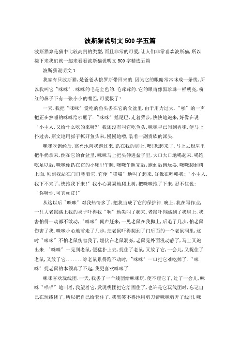 波斯猫说明文500字五篇