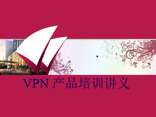 中国网通VN产品培训手册