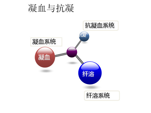 凝血机制