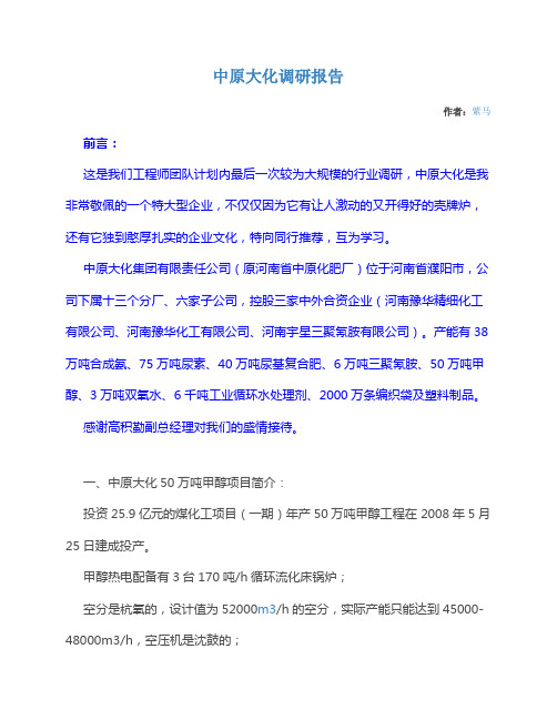 中原大化调研报告