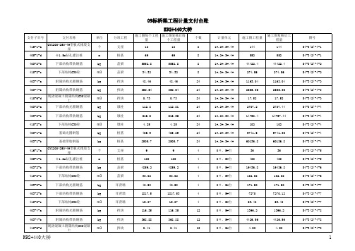 09 标桥梁工程计量支付台账