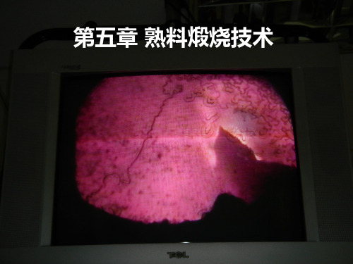 水泥煅烧技术(1).