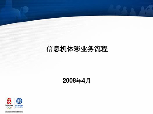 体彩业务流程与风险分析-080430