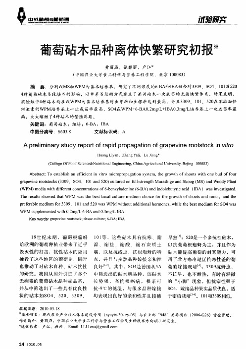 葡萄砧木品种离体快繁研究初报