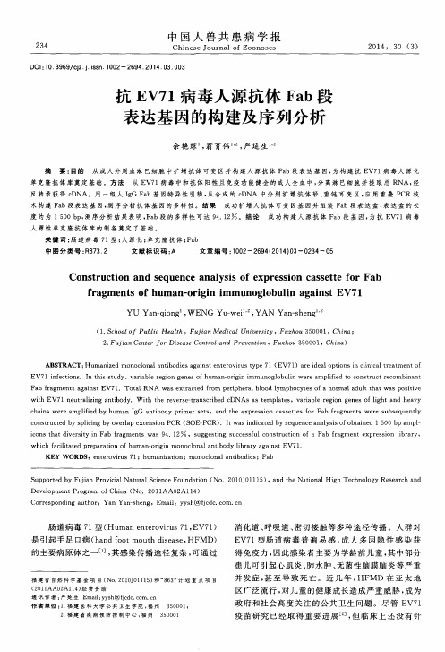 抗EV71病毒人源抗体Fab段表达基因的构建及序列分析