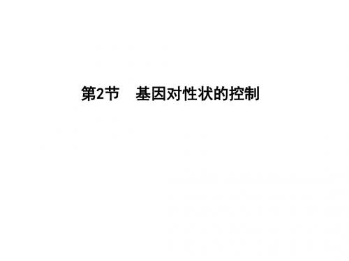 人教版高中生物必修2课件：第4章 第2节 基因的表达 基因对性状的控制