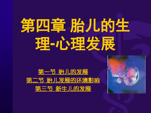 胎儿怀孕知识ppt课件