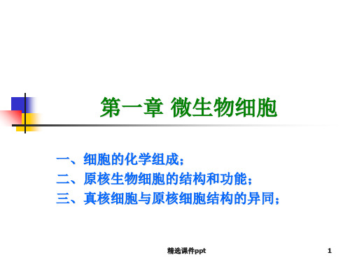 微生物学ppt课件第一章微生物细胞