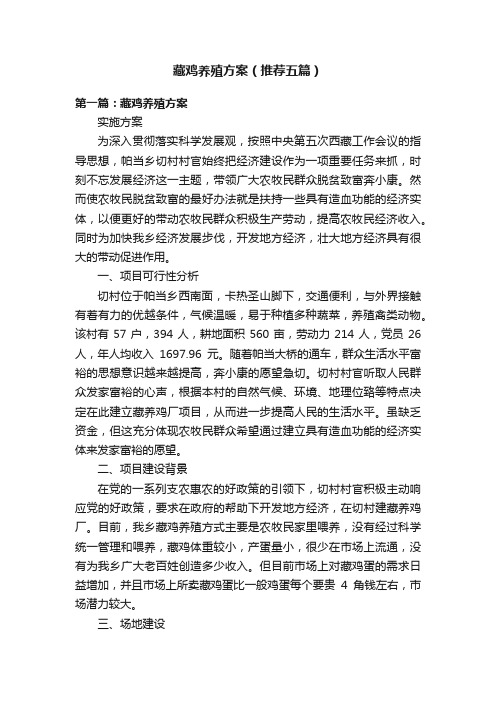藏鸡养殖方案（推荐五篇）