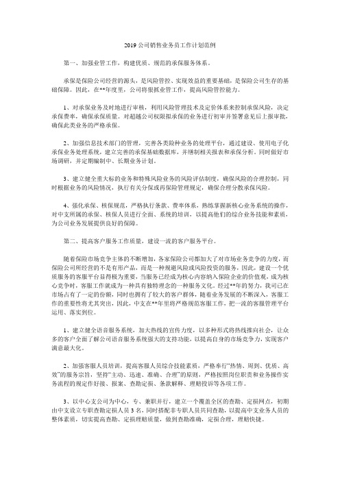 2019公司销售业务员工作计划范例.doc