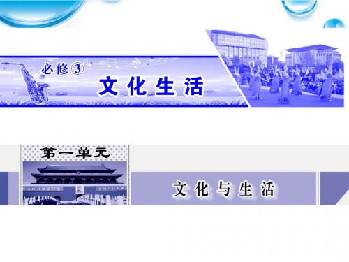 【名师大讲堂】2012届高考政治一轮复习 1.1文化与社会课件 新人教必修3