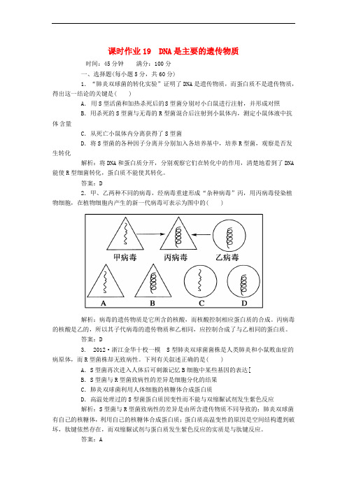 高考生物一轮复习课时作业 19DNA是主要的遗传物质 新人教版