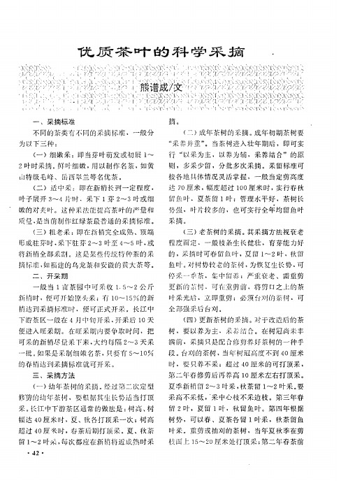 优质茶叶的科学采摘