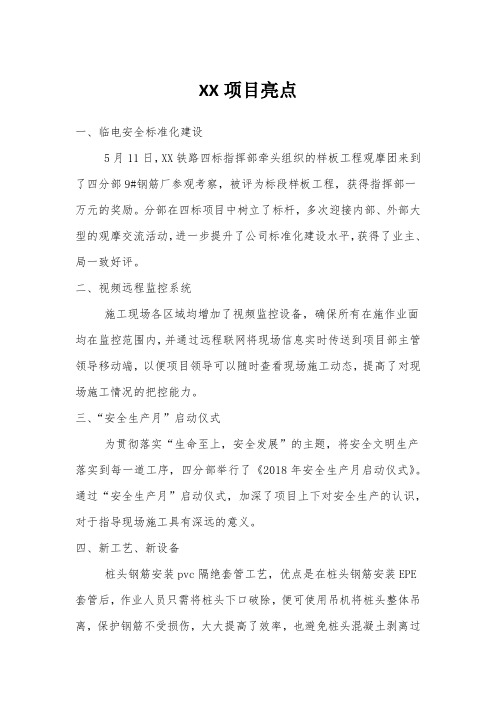 XX项目亮点简介