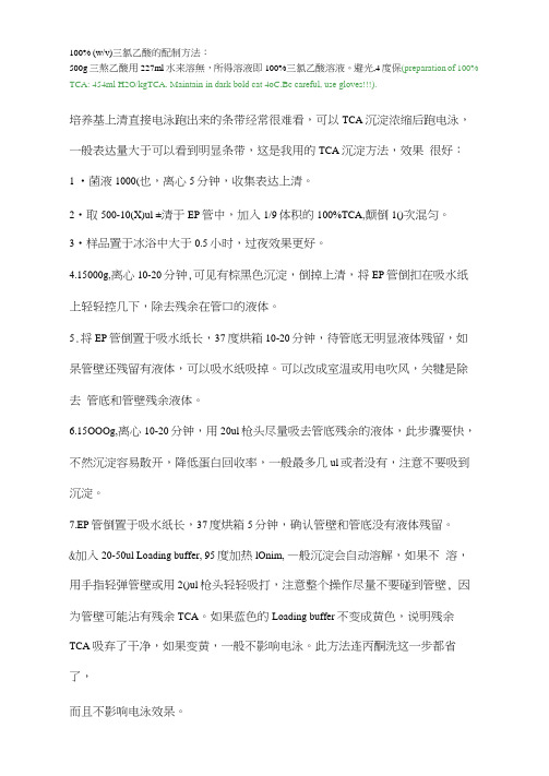 TCA蛋白沉淀方法