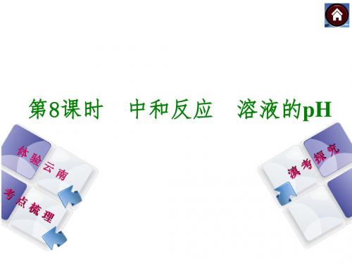 人教版中考化学中和反应溶液的PH复习