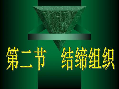 结缔组织