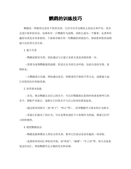 鹦鹉的训练技巧