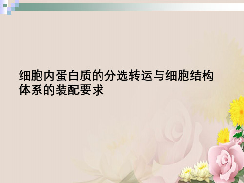 细胞内蛋白质分选转运与细胞结构体系装配要求