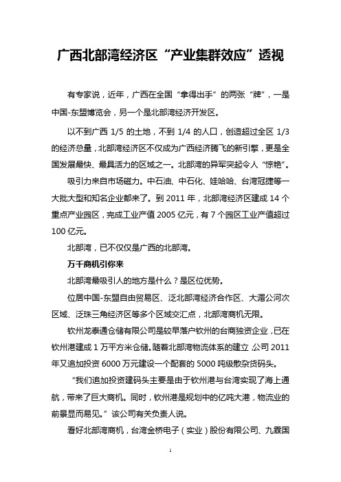 广西北部湾经济区“产业集群效应”透视
