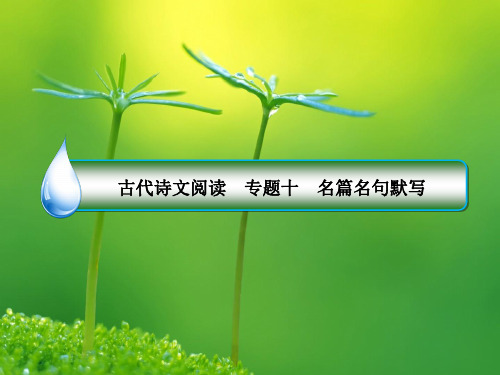 高考语文一轮讲练：专题10-名篇名句默写(含答案)10