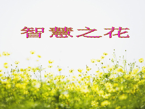 智慧之花PPT课件