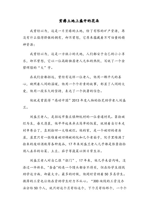 贫瘠土地上盛开的花朵