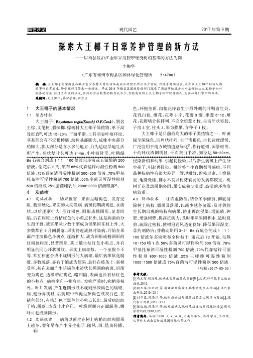 探索大王椰子日常养护管理的新方法——以梅县区沿江金岸采用胶带