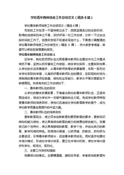 学校青年教师培养工作总结范文（精选6篇）