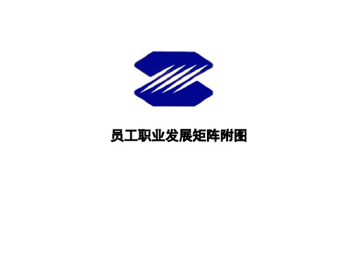 人资规划专题-员工职业发展矩阵附表(培训工具)