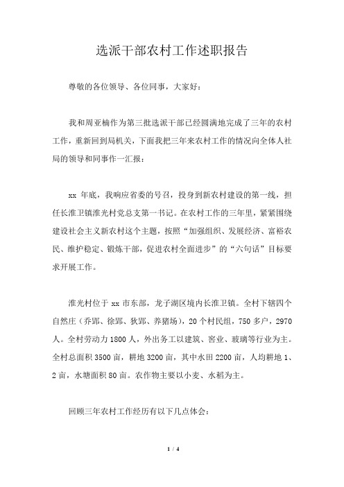 选派干部农村工作述职报告