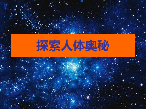 探索人体奥秘
