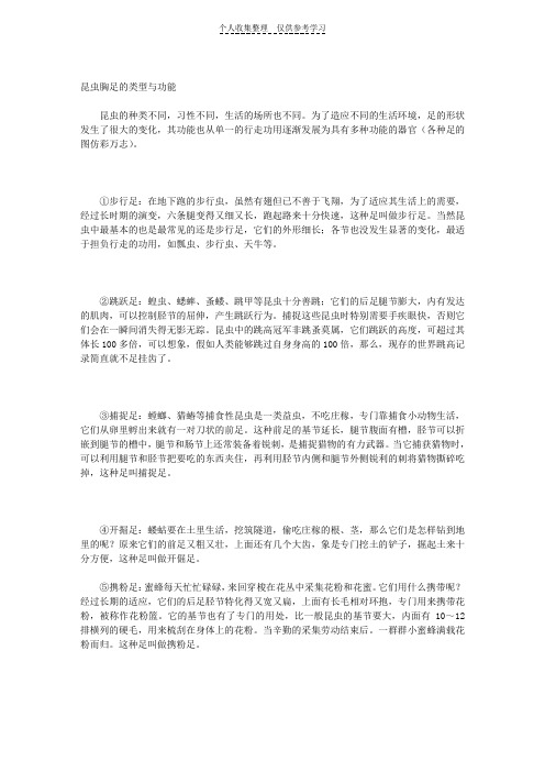 昆虫胸足的类型与功能