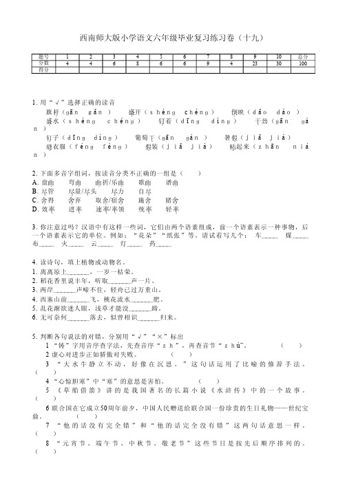 西南师大版小学语文六年级毕业复习练习卷(十九)