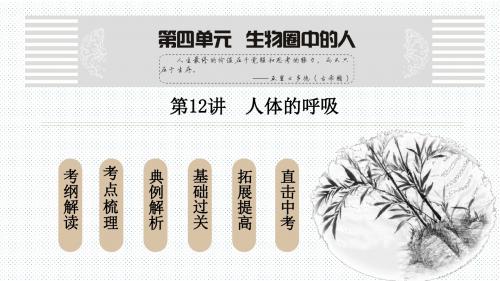 2018年中考生物总复习课件--人体的呼吸(共75张PPT)