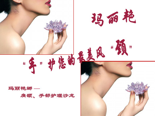 手颈沙龙 PPT课件