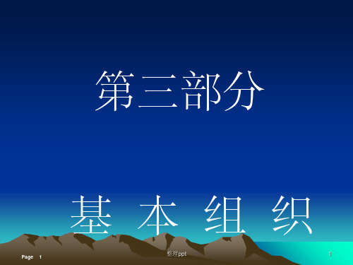 解剖学考点基本组织(1)
