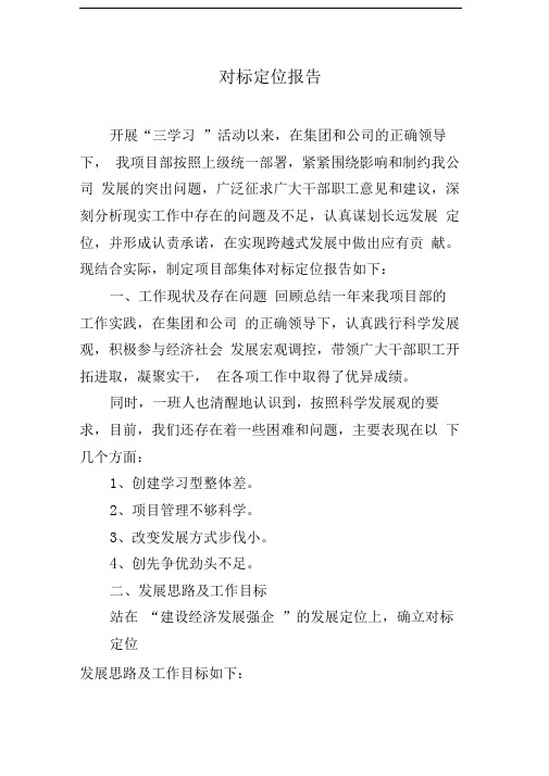 对标定位报告