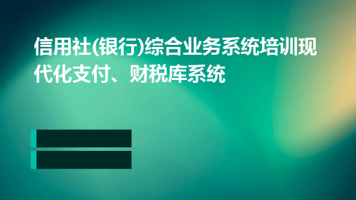信用社(银行)综合业务系统培训：现代化支付、财税库系统