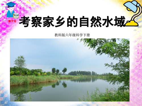 教科版六年级科学下册《 环境和我们  考察家乡的自然水域》公开课课件_14