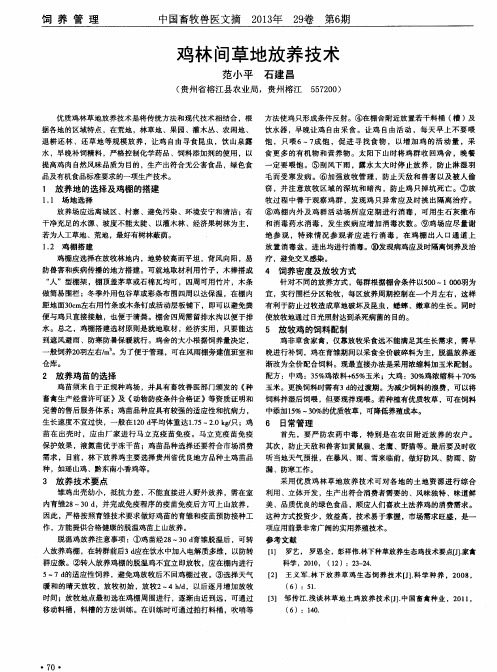 鸡林间草地放养技术