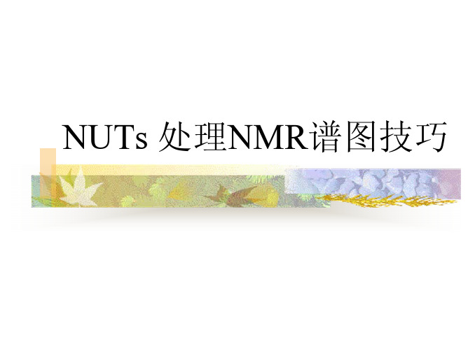 NUTS处理NMR谱图技巧
