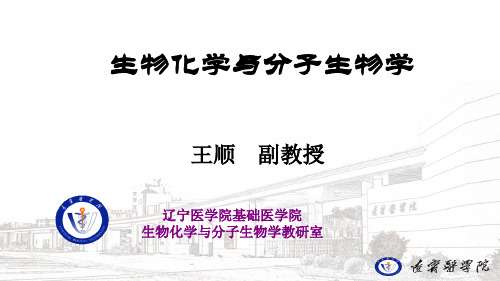 底物浓度对酶促反应速度的影响