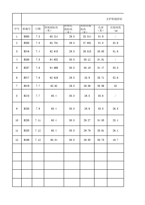 超前钻终孔记录 样表