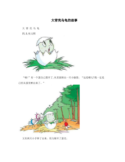 大背壳乌龟的故事
