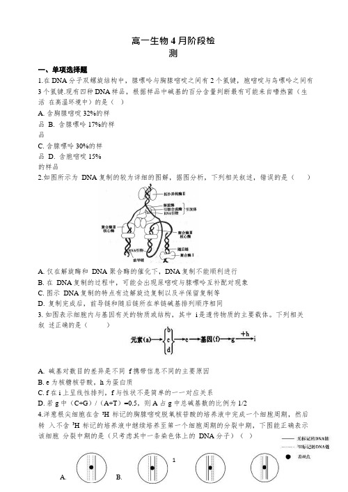山东省烟台市第二中学2019-2020学年高一下学期4月月考生物试题 Word版含答案