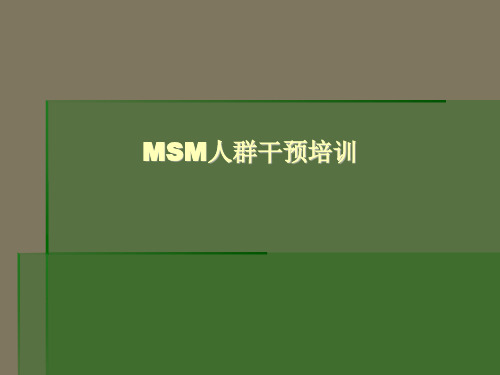 MSM 骨干培训课件