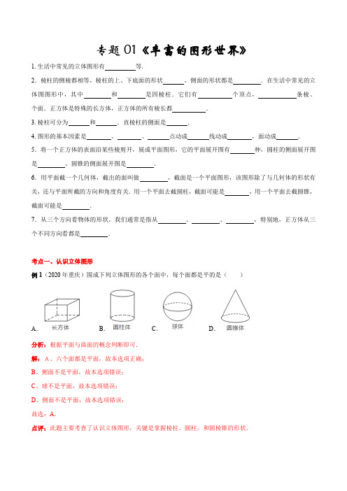 2020-2021七年级数学上专题《丰富的图形世界》(北师大版)+详细解析