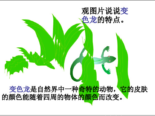 九年级《变色龙》ppt课件